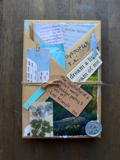Blind Date with a Book